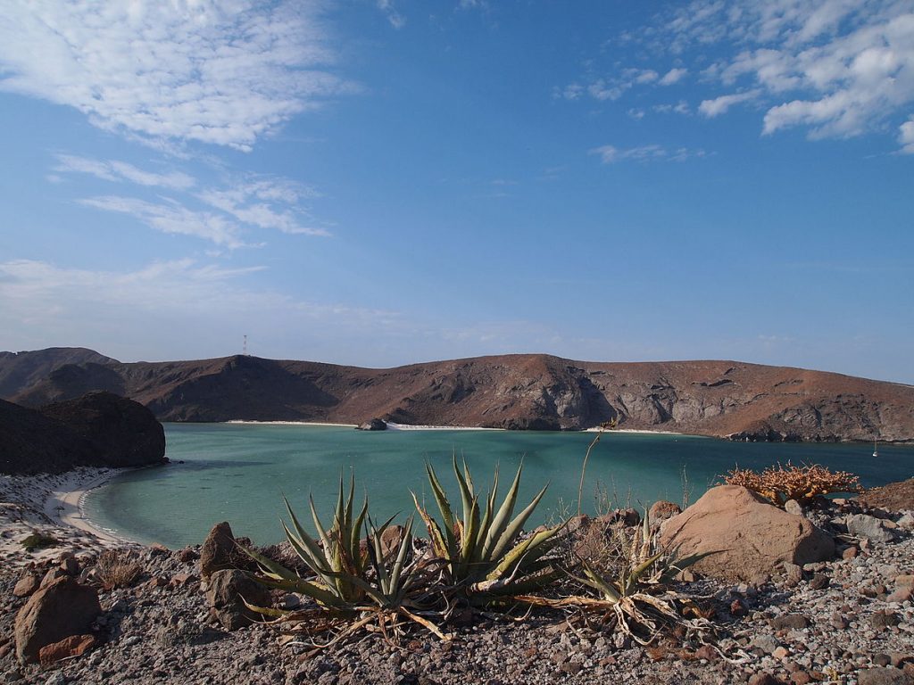 Playa Balandra, La Paz 1